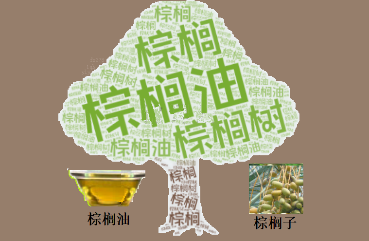 XM外汇官网资讯